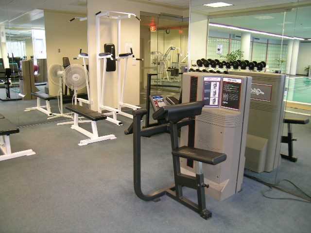 downtown apartment rentals
