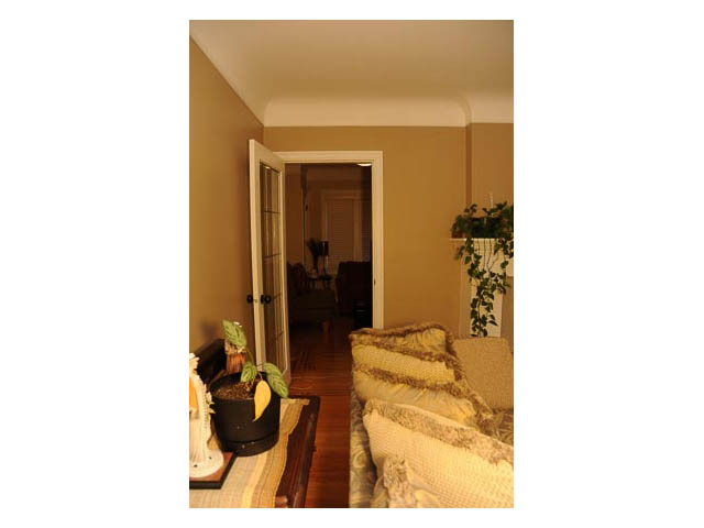 luxury house for rent