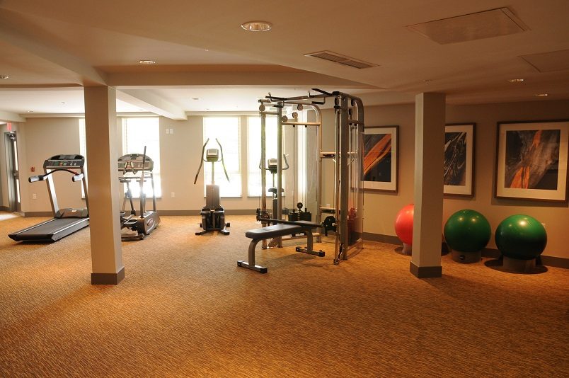 penthouse for rent