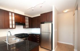 Modern unfurnished kitchen with dark wood cabinets and stainless steel appliances.