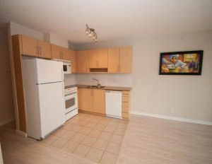 703 - 550 Taylor Street