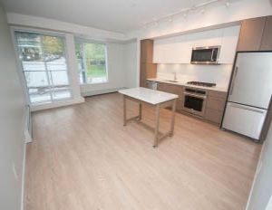 302 - 417 Great Northern Way