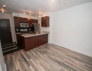 2105 - 938 Smithe Street