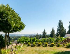 Suite - 1077 Chamberlain Drive