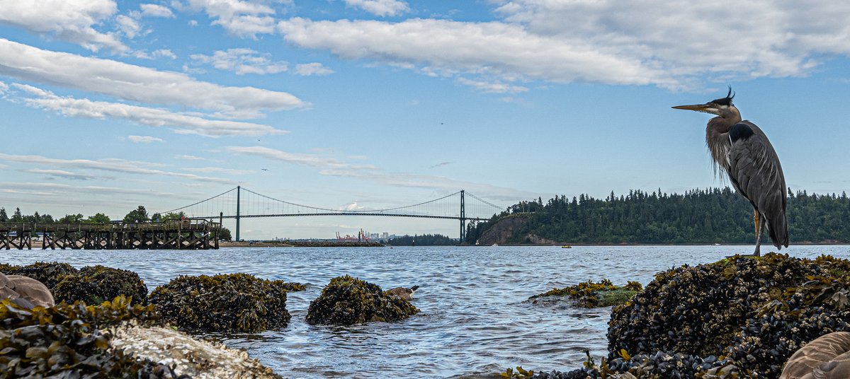 Property management in West Vancouver - residential rentals across 17 neighbourhoods