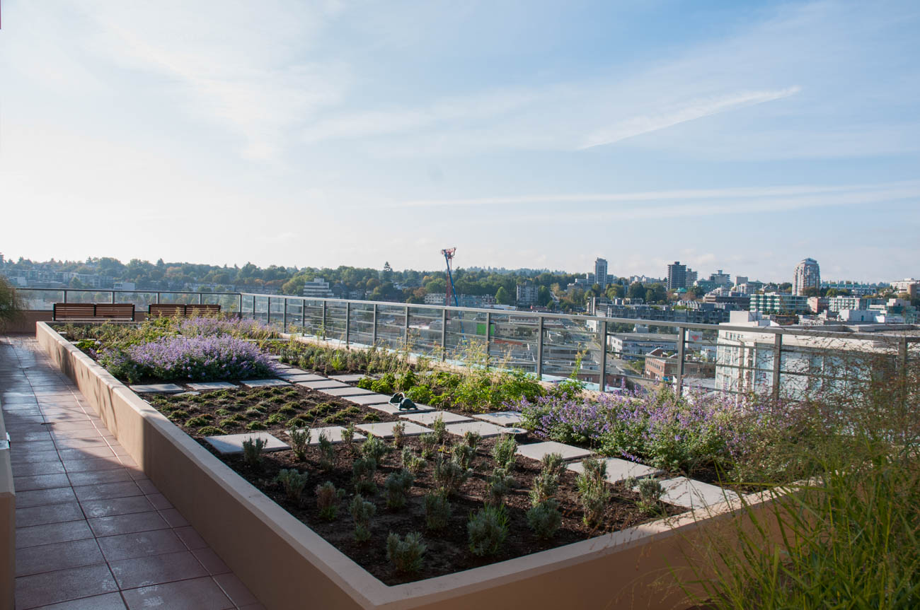 James - Amenity Photo 11 of 16