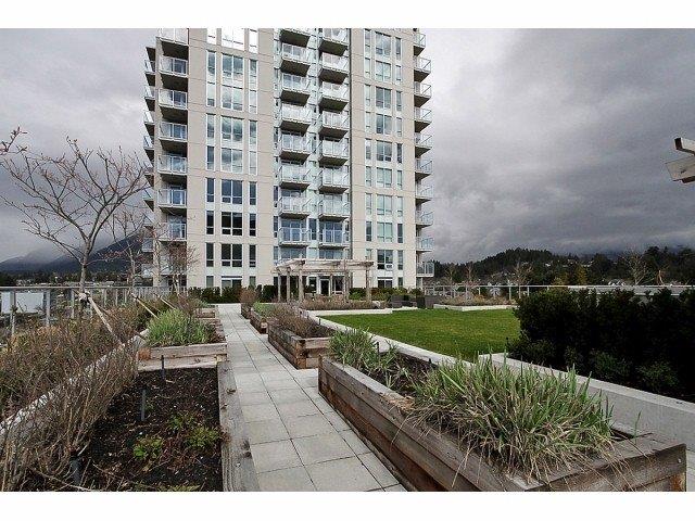 Local on Lonsdale - Amenity Photo 1 of 5