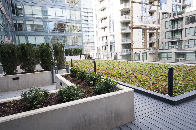 The Residences at West - Amenity Photo 3 of 6