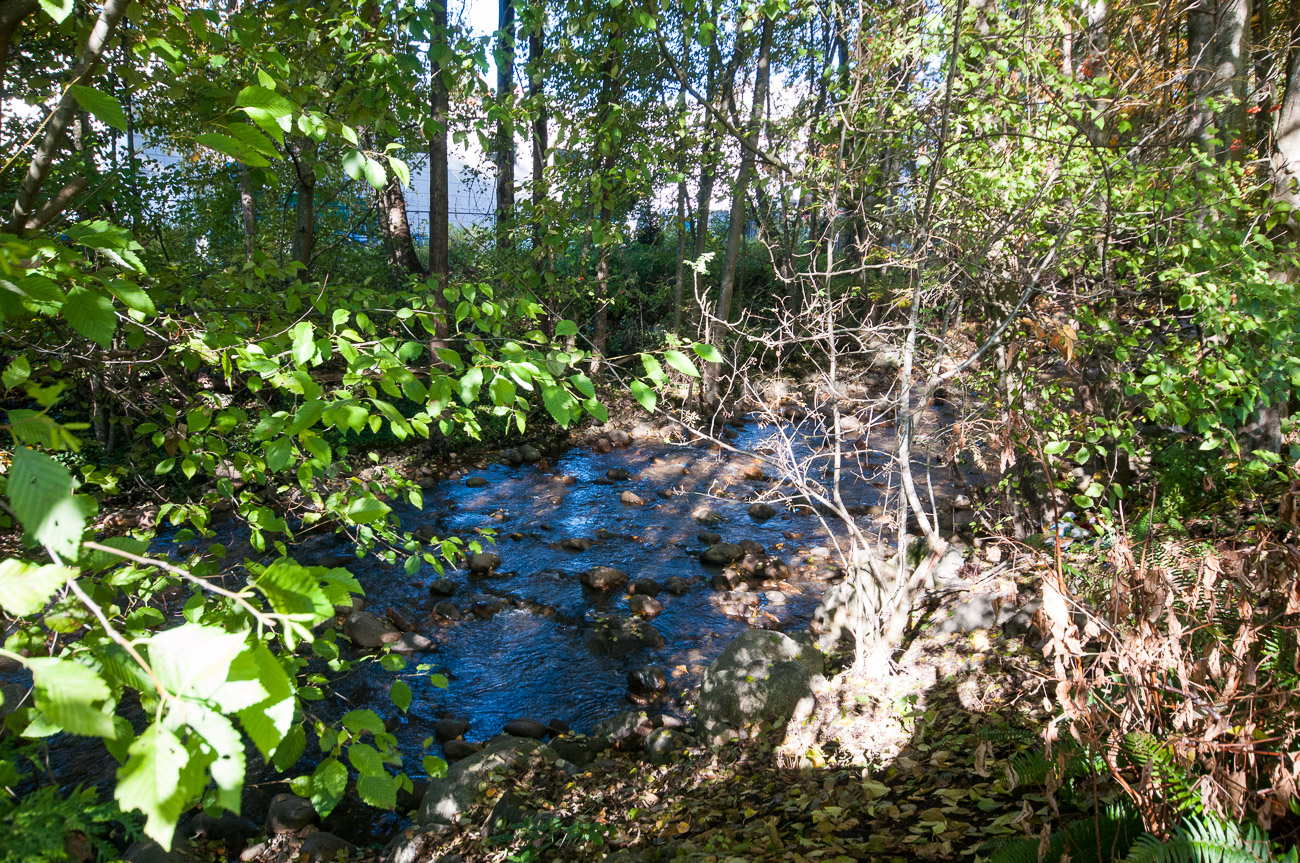 Seven 35 - Amenity Photo 7 of 7