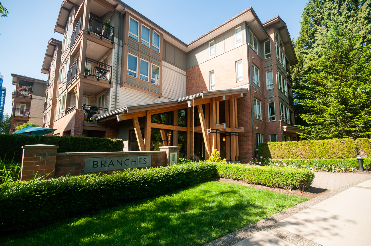 Branches - Amenity Photo 4 of 4