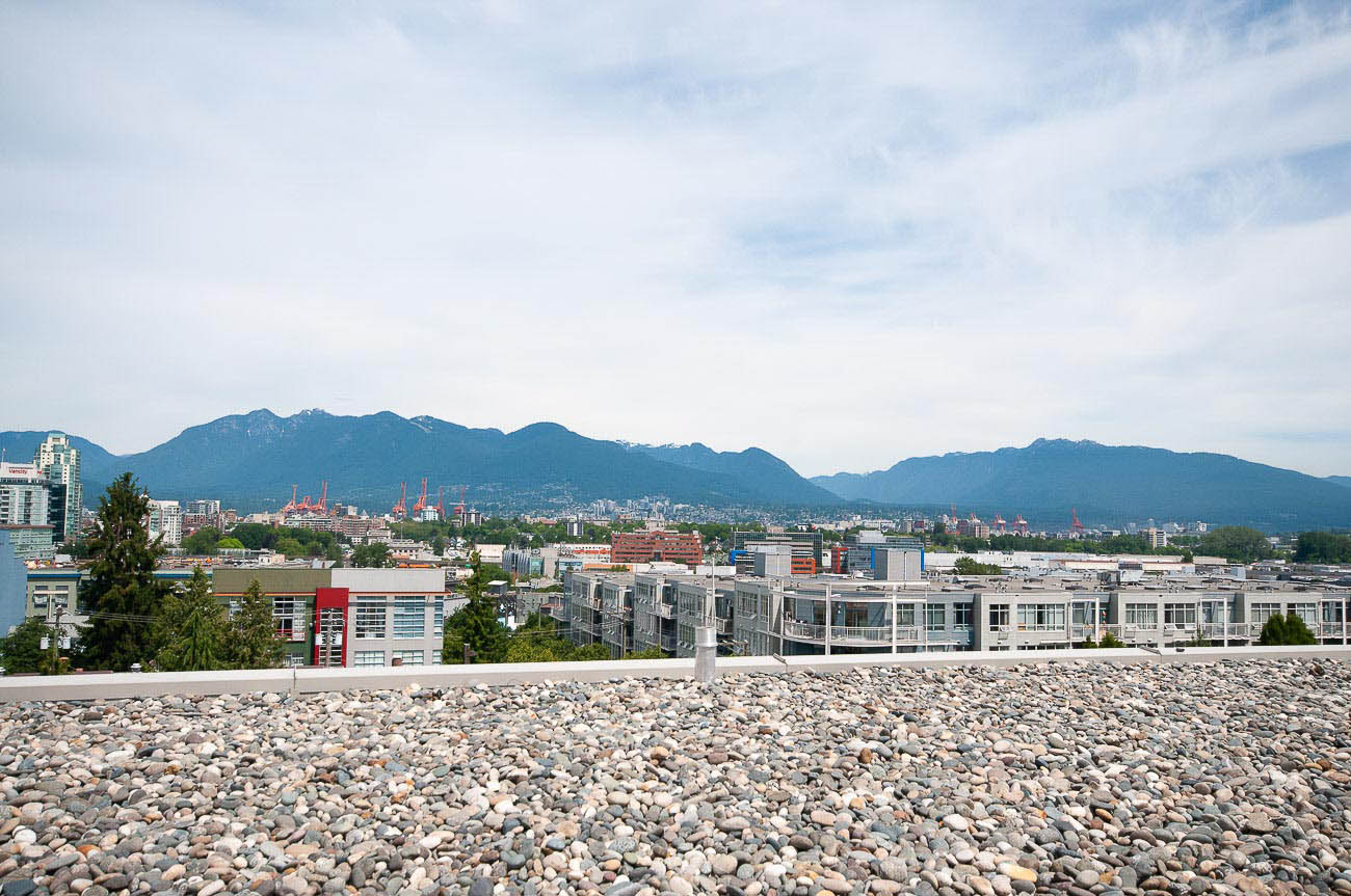 SHINE - Amenity Photo 3 of 8