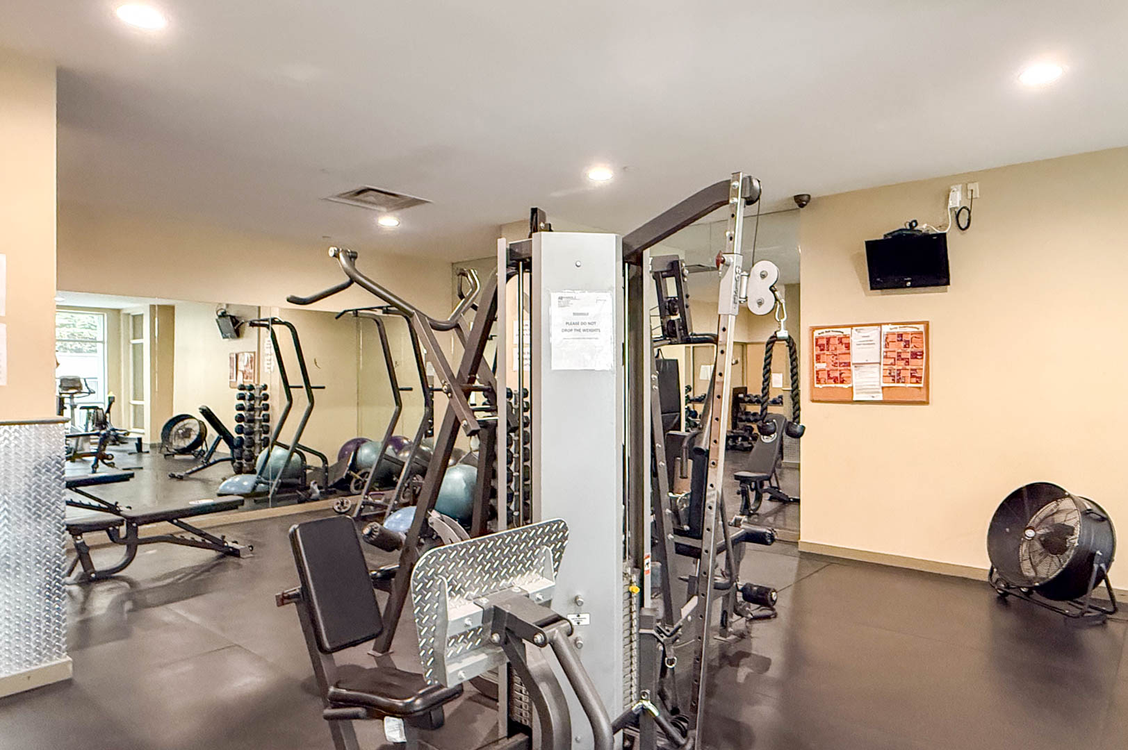 Freesia - Amenity Photo 2 of 2