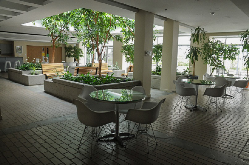 Vita - Amenity Photo 8 of 24