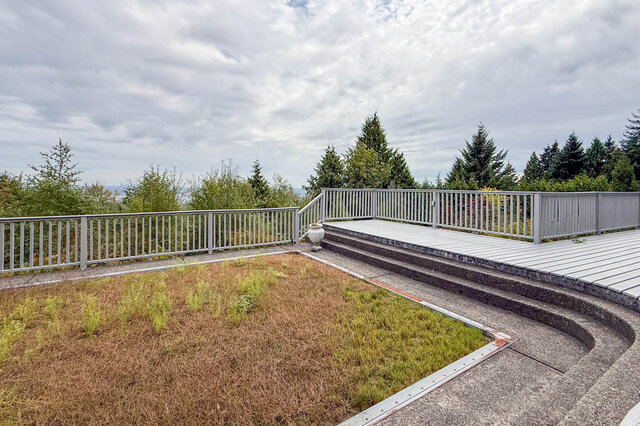Rooftop terrace with white metal railing, light composite deck, and curved concrete steps overlooking evergreen trees.