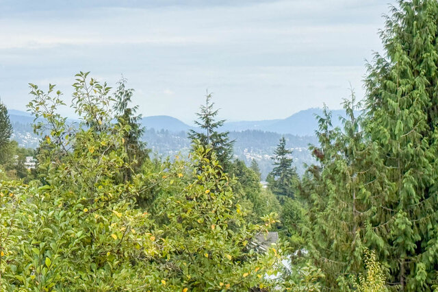 Scenic outdoor view framed by lush evergreen trees with a hazy mountain range in the distance. - 1350 Crestwell Road, West Vancouver