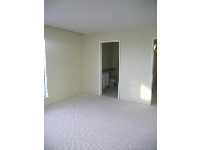 rental management companies