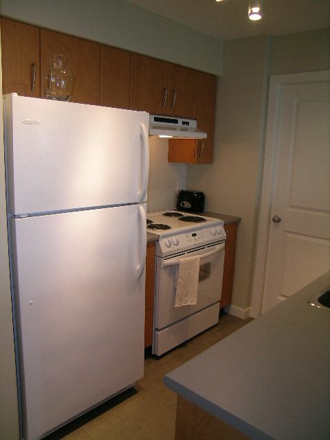 1507 - 1295 Richards Street - Condo - Yaletown - Photo 4 of 28