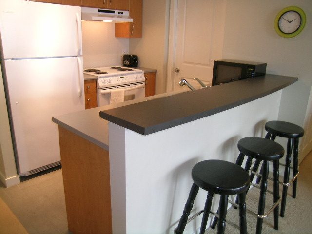 1507 - 1295 Richards Street - Condo - Yaletown - Photo 5 of 28