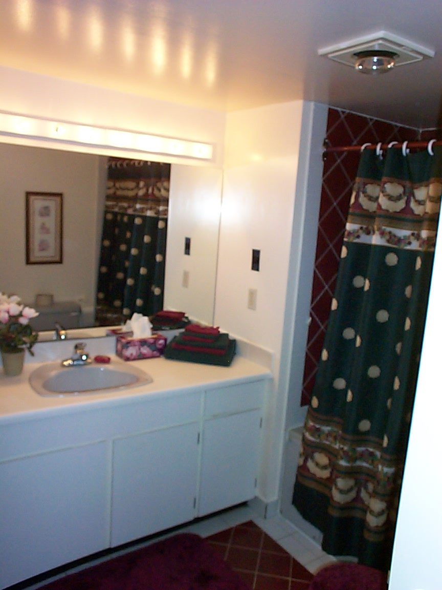 Bathroom with white cabinets, green polka-dot shower curtain, and a sink with tissue box. - 832 West 7th Avenue, Vancouver West Side