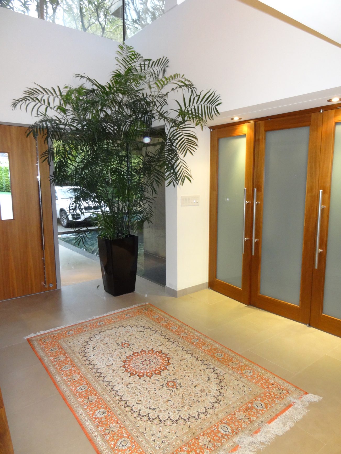 Foyer with large potted palm and patterned rug, modern wood doors. - 2898 Bellevue Avenue, West Vancouver