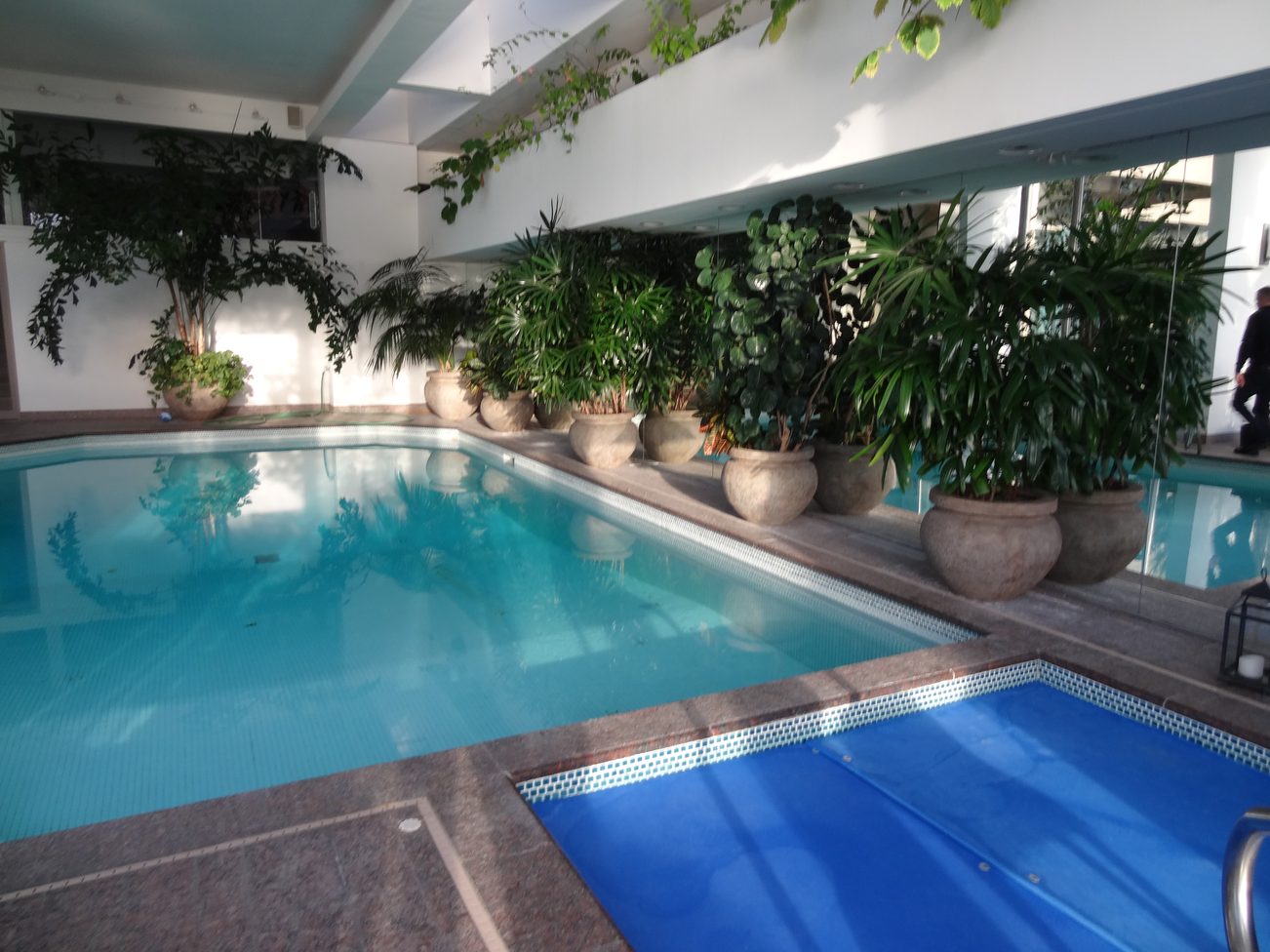 Furnished living room with large indoor plants and a blue pool area. - 2898 Bellevue Avenue, West Vancouver