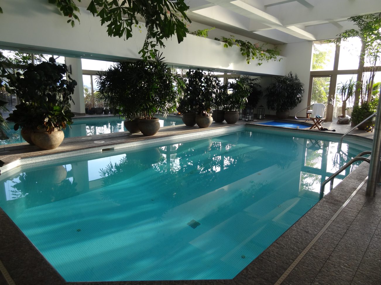 Furnished indoor pool with lush greenery and modern design. - 2898 Bellevue Avenue, West Vancouver