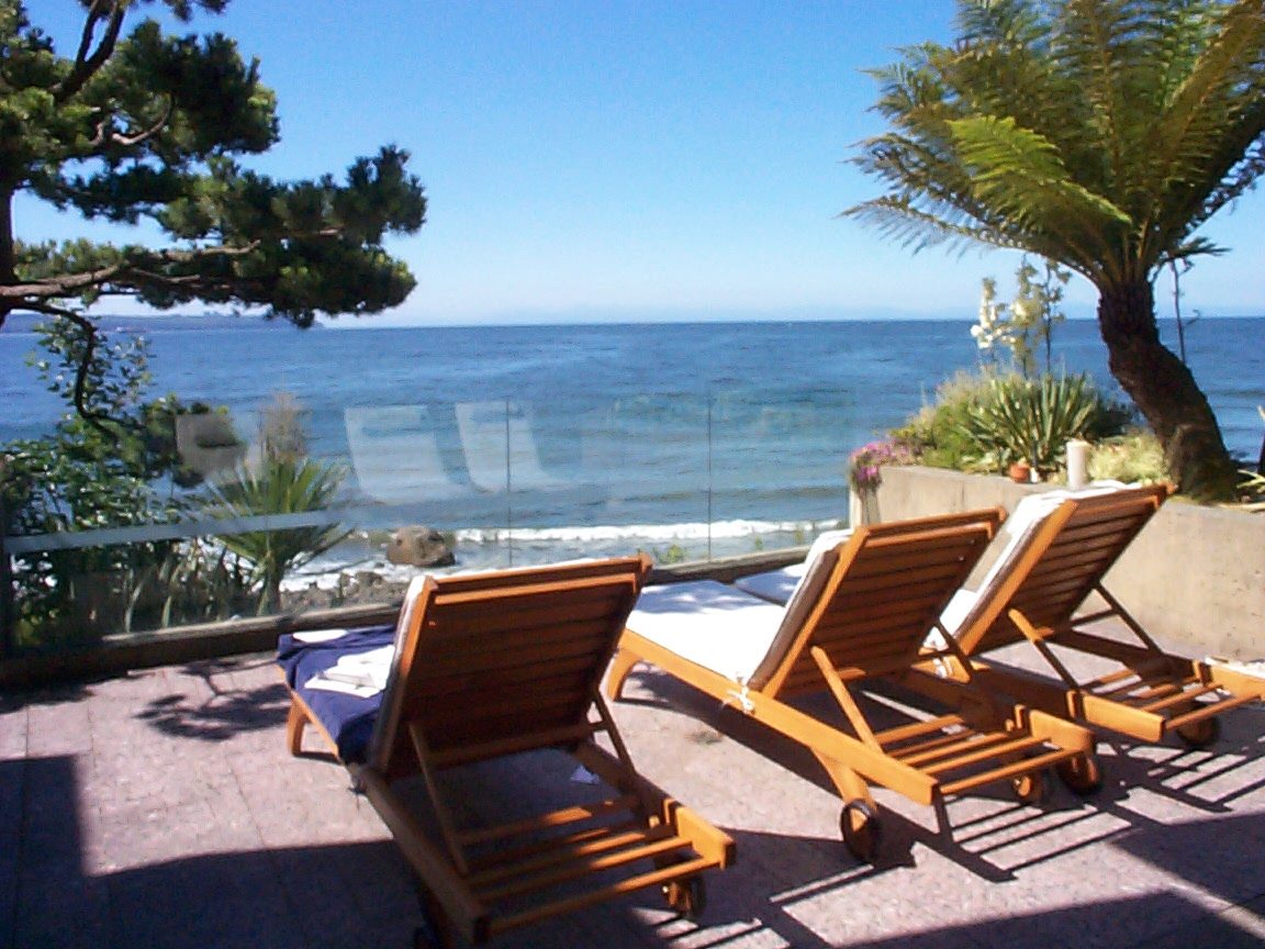 Furnished patio with ocean view, lounge chairs, and tropical plants. - 2898 Bellevue Avenue, West Vancouver