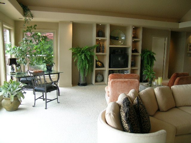 Spacious living room with cozy furniture, large windows, and indoor plants. - 4527 Stonehaven Avenue, North Vancouver