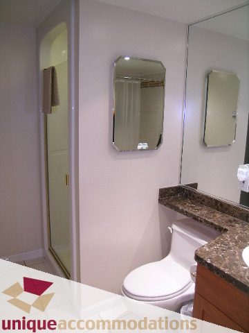 Bathroom with granite countertops and a walk-in shower. - 322 - 1228 Marinaside Crescent, Vancouver Downtown