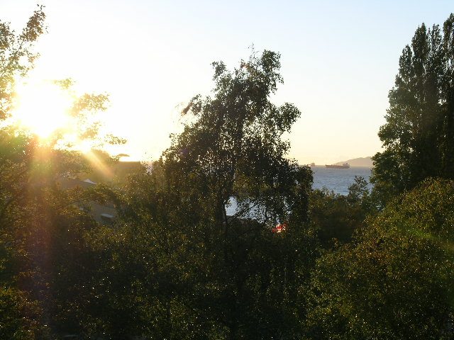 Furnished 1-bedroom + den with a serene view of the waterfront and trees at sunset. - 505 - 1005 Beach Avenue, Vancouver Downtown