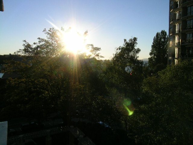 Bright living room with city view and morning sunlight streaming through trees. - 505 - 1005 Beach Avenue, Vancouver Downtown