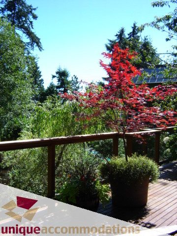 Furnished balcony with vibrant red maple tree and lush greenery. - 4497 Marine Dr., West Vancouver