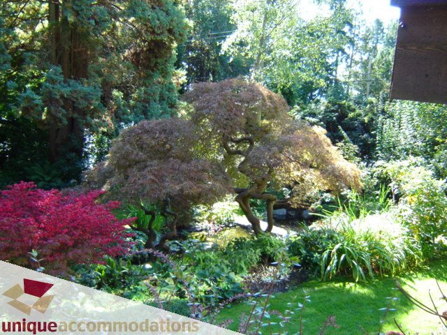 Lush garden with vibrant red and green foliage, serene natural setting. - 4497 Marine Dr., West Vancouver