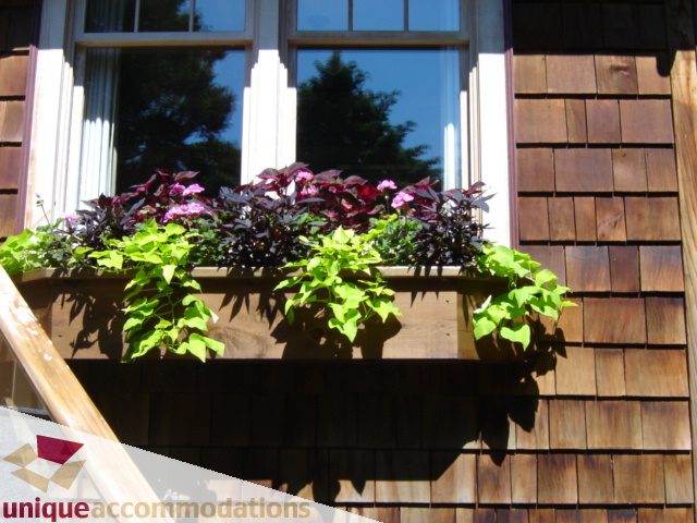 Bright window box with colorful plants and wooden siding. - 4497 Marine Dr., West Vancouver