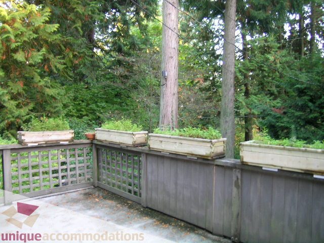 Fenced patio with wooden deck, potted plants, and lush greenery. - 4655 Clovelly Walk, West Vancouver