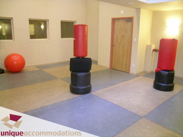 Fitness room with exercise equipment and red punching bags. - 2001 - 1238 Richards Street, Vancouver Downtown