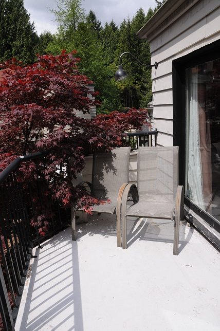 Furnished patio with red maple tree and outdoor furniture. - Guest House - 440 Stevens Drive, West Vancouver