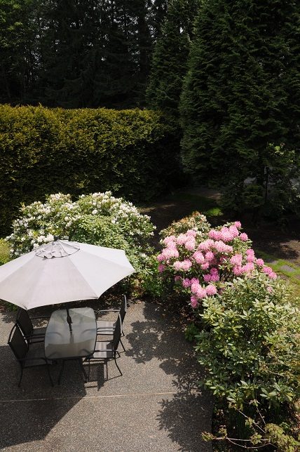 Furnished patio with outdoor seating, umbrella, and blooming flowers. - Guest House - 440 Stevens Drive, West Vancouver