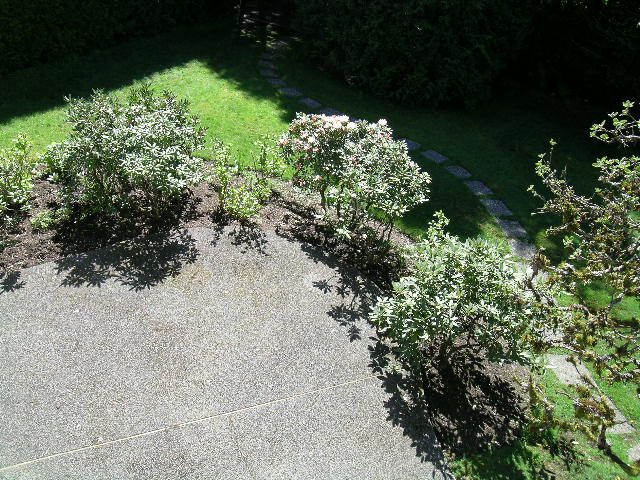 Guest House patio with stone path and flowering shrubs. - Guest House - 440 Stevens Drive, West Vancouver