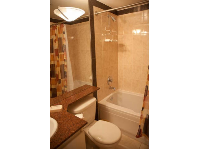 710 - 1050 Burrard Street - Condo - Downtown - Photo 15 of 37