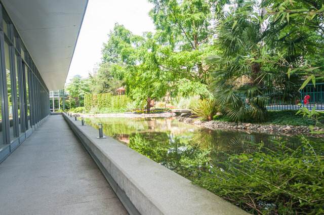 Spacious 1-bedroom condo with serene water feature and lush greenery. - 2602 - 1033 Marinaside Crescent, Vancouver Downtown