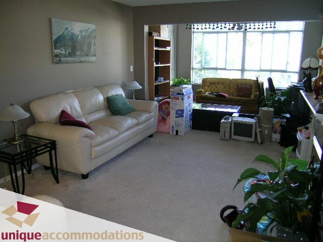 Living room with white leather sofa, large window, and potted plant. - 314 - 855 W. 16th Street, North Vancouver