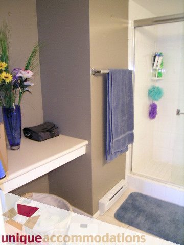 Furnished bathroom with blue accents, towel rack, and shower. - 314 - 855 W. 16th Street, North Vancouver