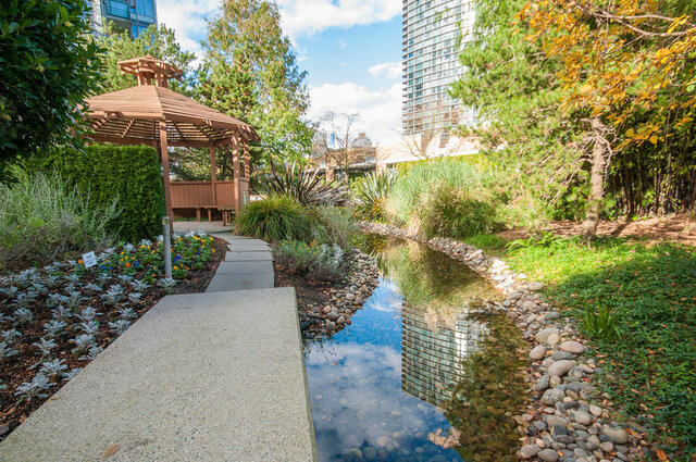 Outdoor garden with tranquil pond and city skyline view. - 1703-1067 Marinaside Crescent, Vancouver Downtown