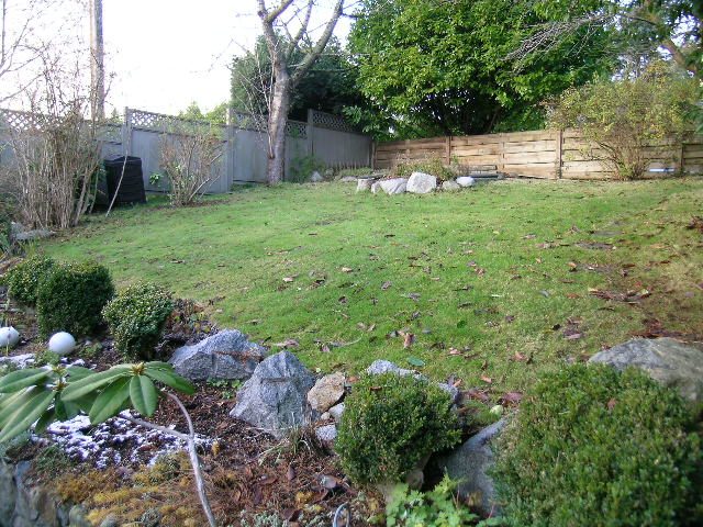Spacious backyard with lush green lawn, rocks, and a small water feature. - 1495 Kings Avenue, West Vancouver