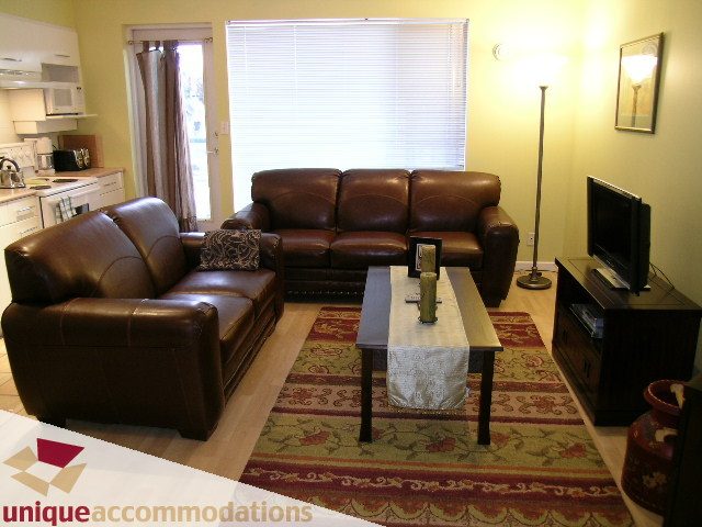 Furnished living room with leather couch, hardwood floors, and a cozy rug. - 406 - 1688 Cypress Street, Vancouver West Side