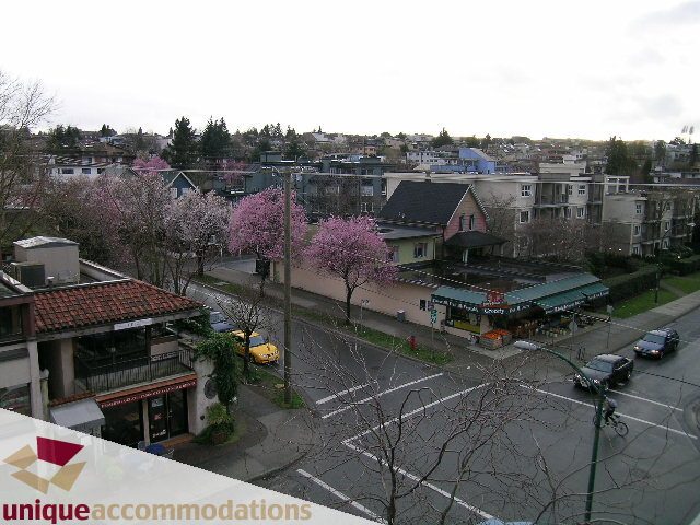 Furnished 1-bedroom condo with city view and cherry blossom trees. - 406 - 1688 Cypress Street, Vancouver West Side