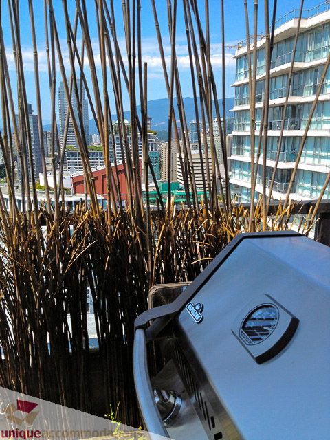 Bright kitchen with stainless steel appliances and a stunning city view. - PH1 - 969 Richards Street, Vancouver Downtown