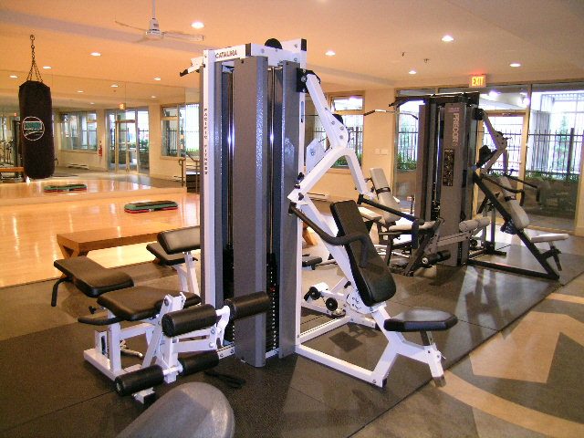 PH1 - 969 Richards Street - Condo - Yaletown - Photo 22 of 76