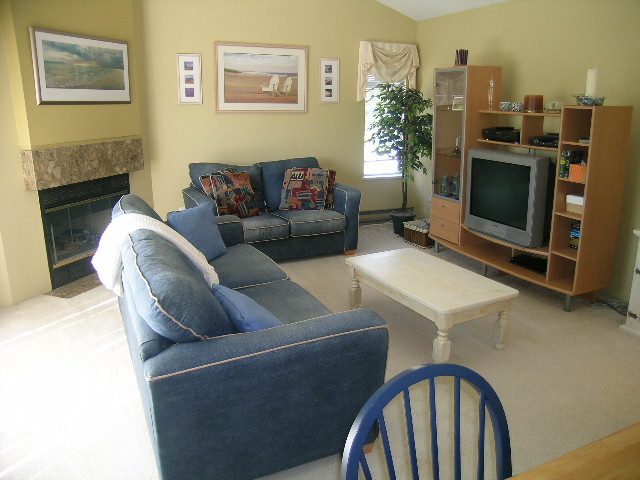 1 - 241 East 4th Street - Townhouse - Lonsdale - Photo 8 of 34